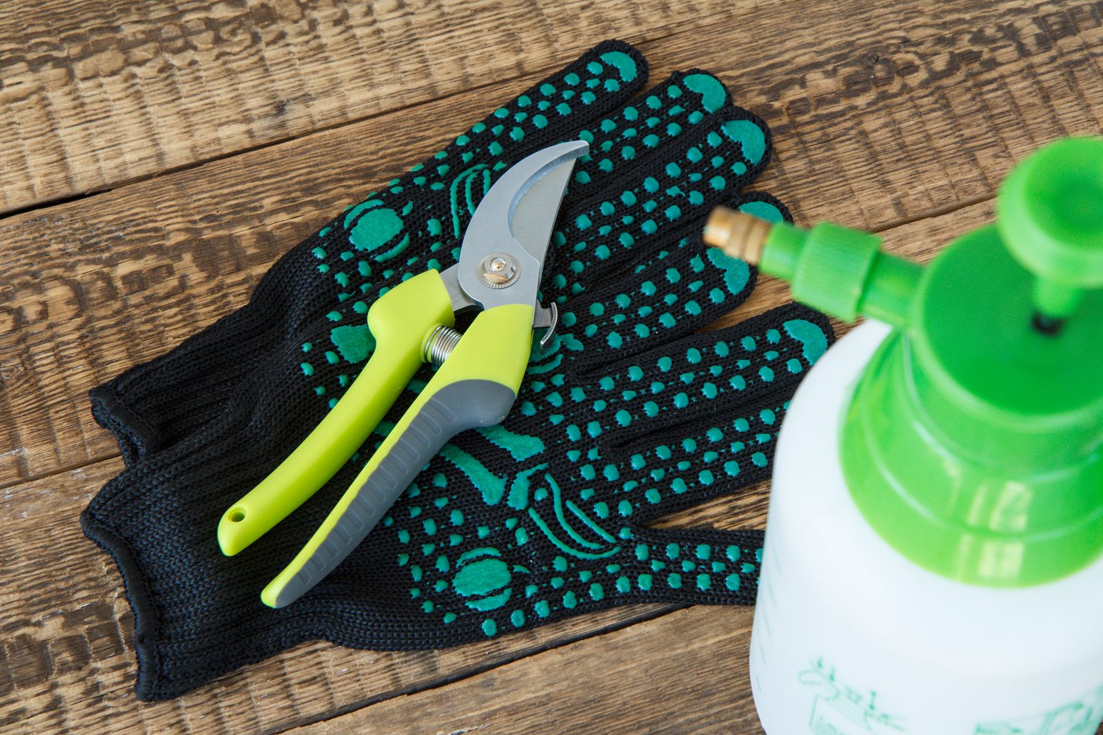 Spray protective kit